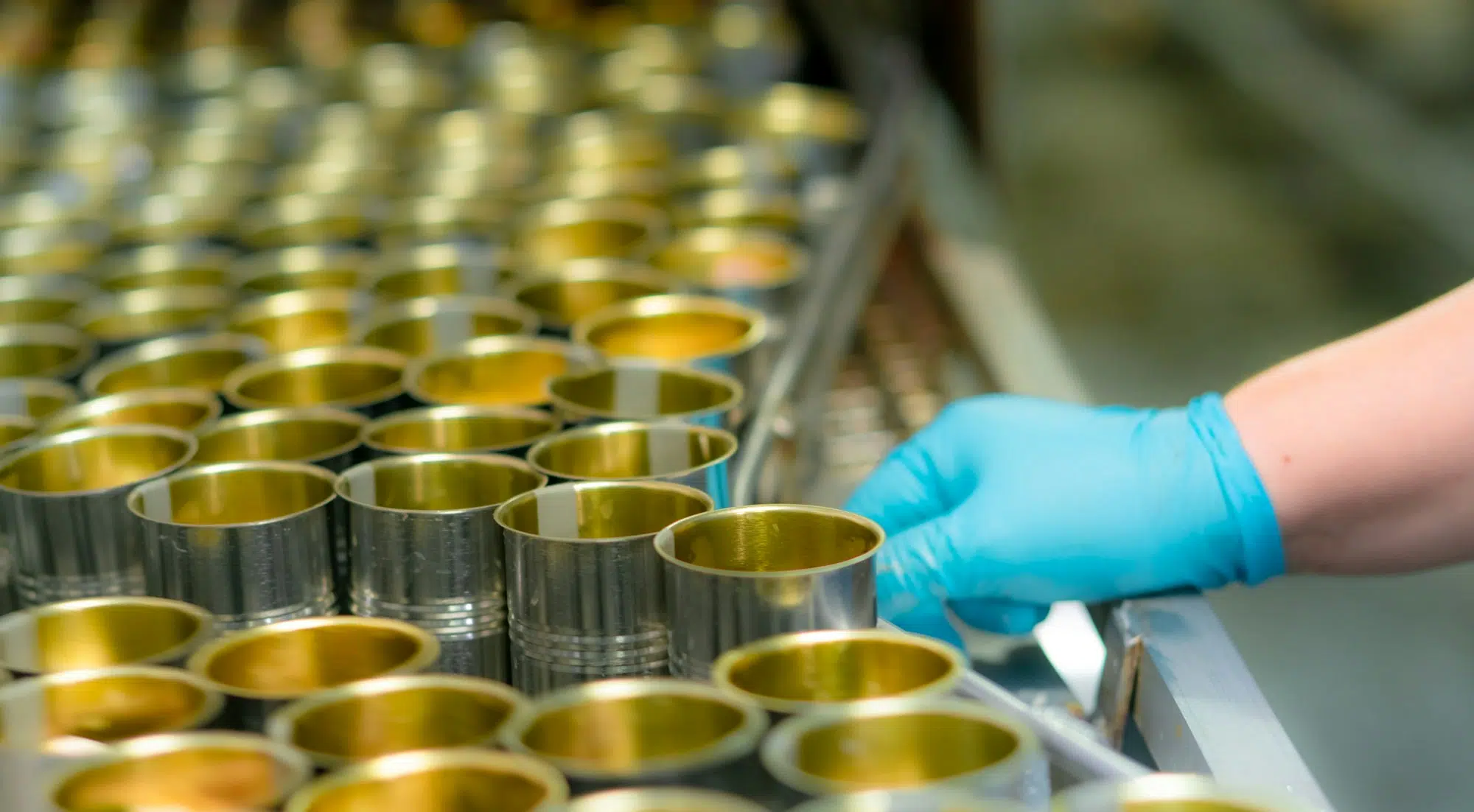 Selective focus on canned fish factory. Food industry. Food processing production line. Food